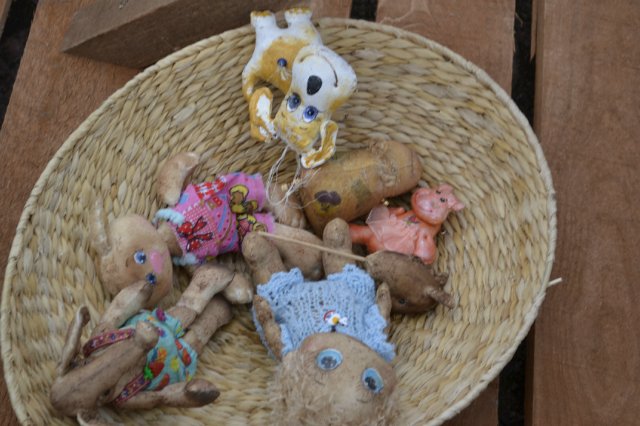 Выставка-Ярмарка в Выборге