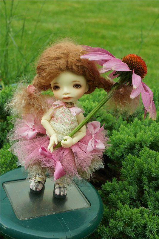 Знакомьтесь - моя Алиса! Куклы Irrealdoll (фото 5)