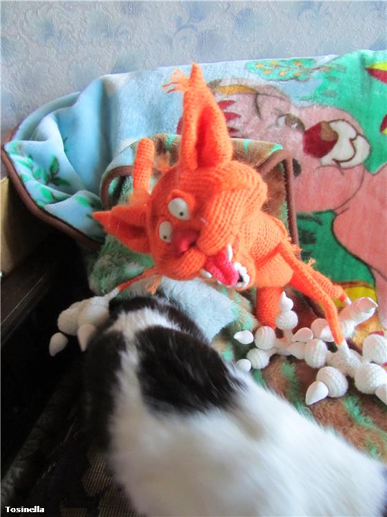 Аристарх. Кот пришелся по душе (фото 6)