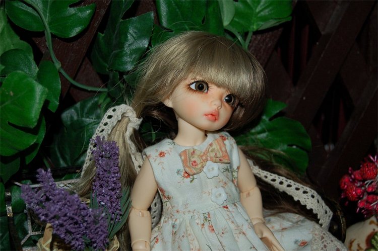 Новый наряд под новое личико. Fairland, Ante