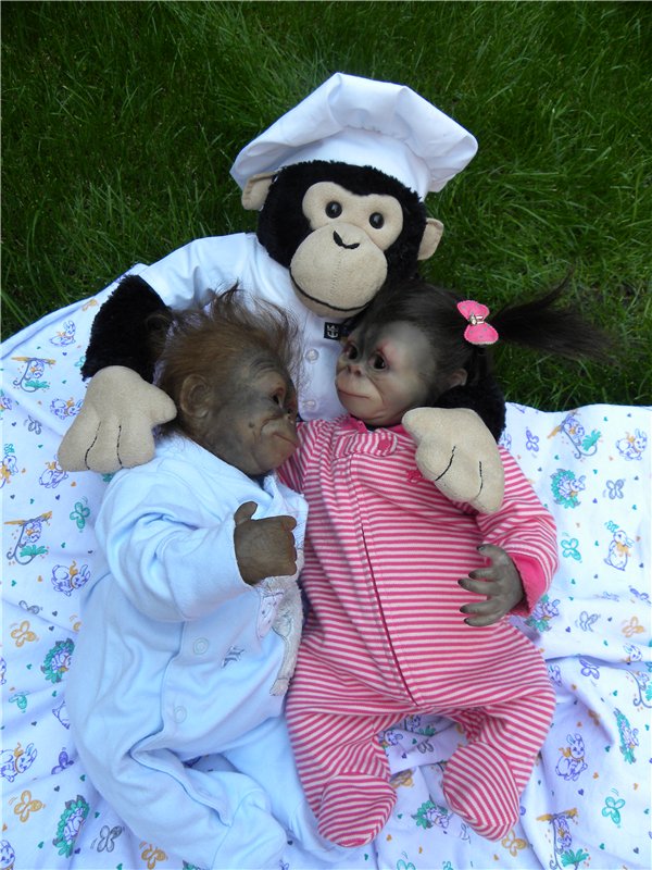 Необычное пополнение в моем доме