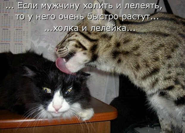 Просто добавь улыбку или пятничный девиз