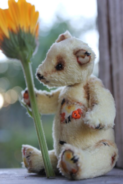 Летний карманный мишка тедди (фото 2)