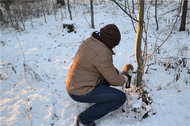 Прогулка по зимнему лесу — Куклы Fairyland (ФэйриЛэнд): BJD (БЖД)