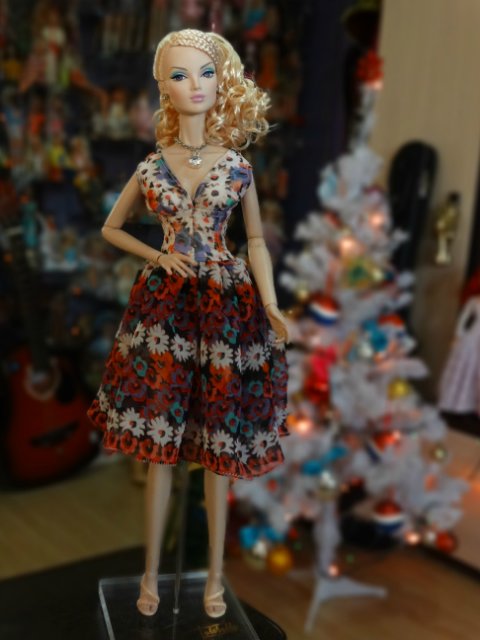 Мои высокие красавицы — Домашние коллекции кукол: фото собраний (фото 8)