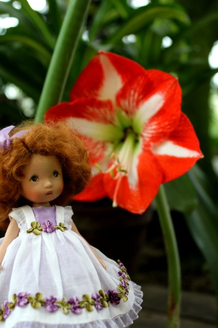 Цветочные феи - Ненси Энн, Диана Эффнер