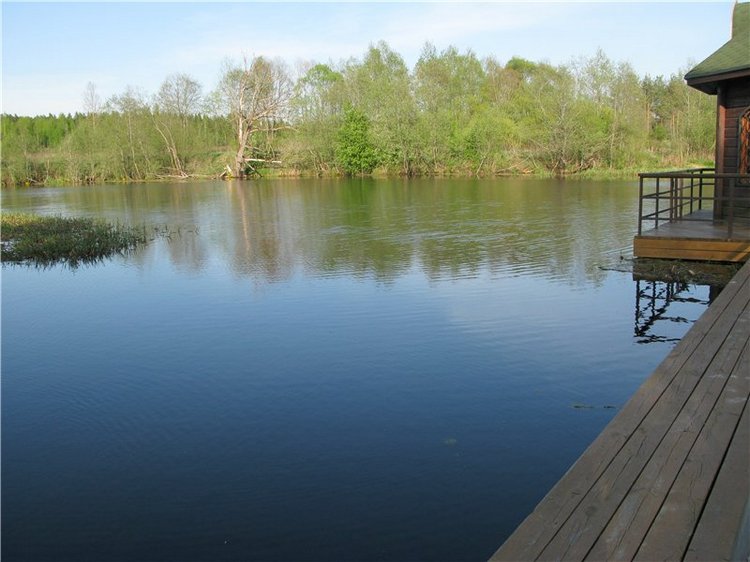 Прогулка с Райли. Riley от автора Helen Kish