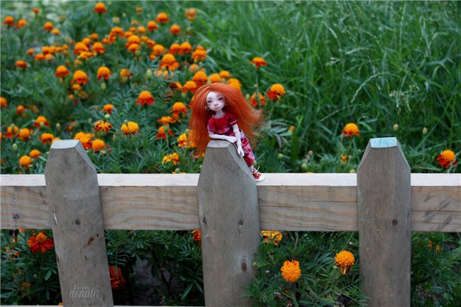 Раз, два, три, четыре, пять - вышла Фиби погулять! Авторская мышка Лидии Снуль