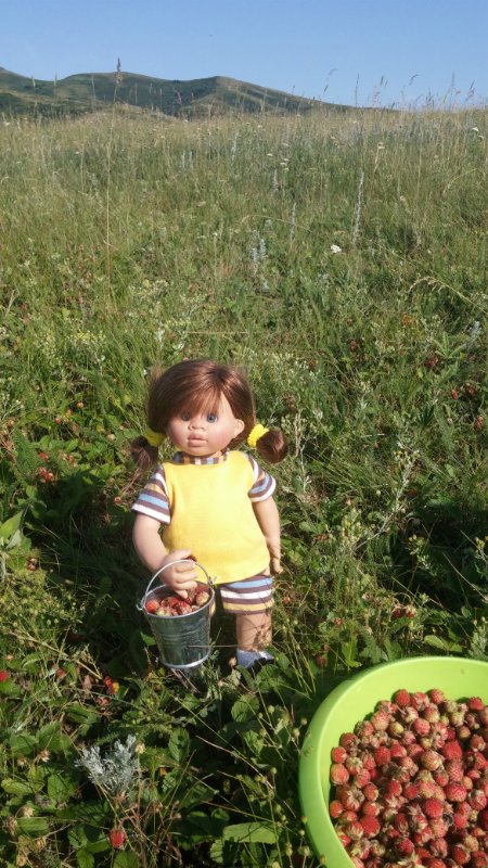 Земляничный день — Домашние коллекции кукол: фото собраний (фото 3)