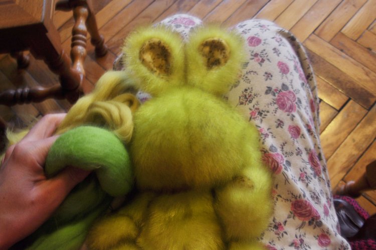 История одного ушастого товарища по имени Фанни (фото 3)