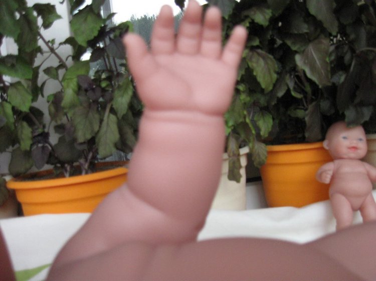 Глазастик и другие куколки