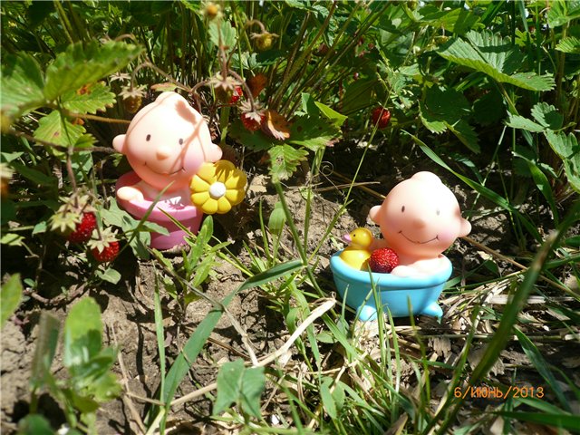 Мои позитивчики — Домашние коллекции кукол: фото собраний (фото 6)