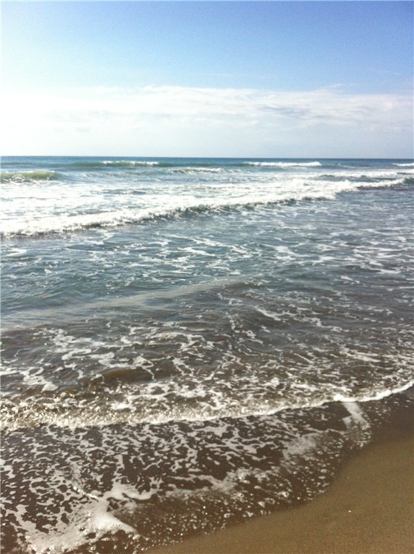 Большое путешествие маленькой девочки. Kaye Wiggs, Nutmeg