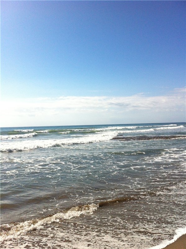 Большое путешествие маленькой девочки. Kaye Wiggs, Nutmeg