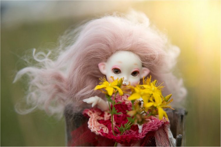 Немного лета на закате — Куклы Peaks Woods (Пиксвудс): BJD (БЖД) (фото 4)