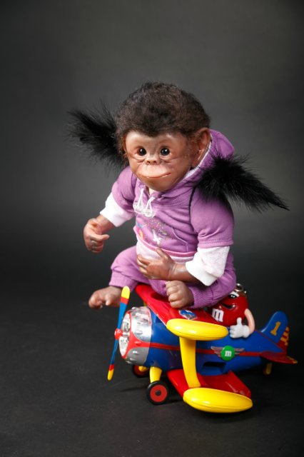 Часть 3. Обезьянка из страны Оз