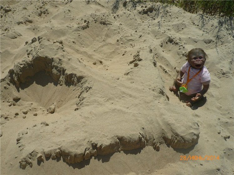 Анфисочка! Кукла - реборн - обезьянка Светланы Преображенской. Часть первая