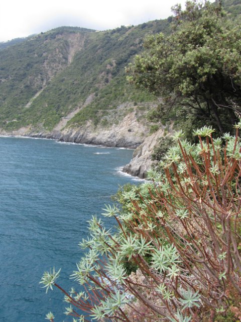 Моя Италия. Часть 2 - Леванто, Манарола