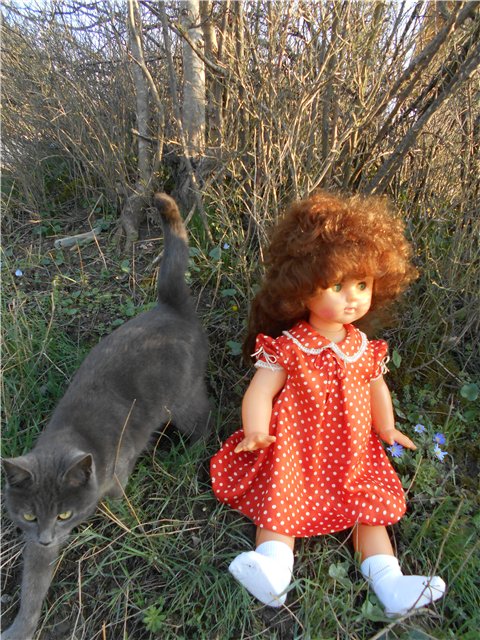 "Соло: красота старого Хлама"