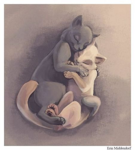Кошачий позитив — Интересное и необычное: фотоподборки (фото 5)