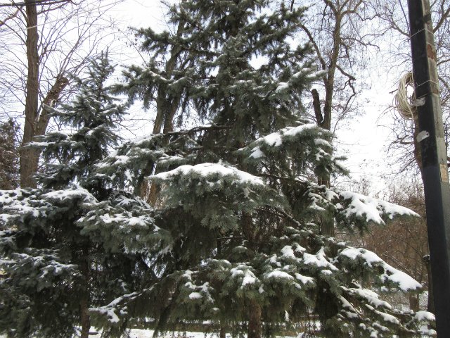 Чем бы заняться юному лорду 30 декабря