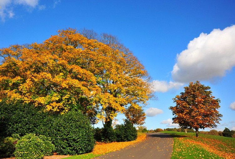 Красотка-осень — Болталка и разговоры обо всем: жизнь