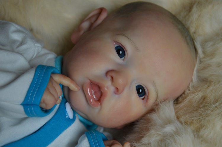 Еще одна Саксия... Еще один пацанчик