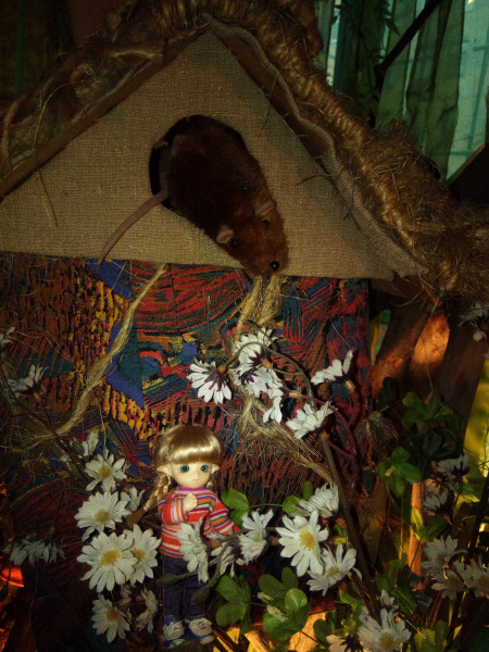 Юлька в Комнате Ужасов — Куклы Brownie (Брауни) Felix Doll: Tiny BJD (БЖД) (фото 7)