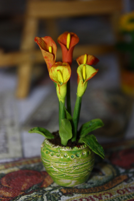 Как Фиби и Остин зиму зимовали. Часть 1: Буковель, Масленица