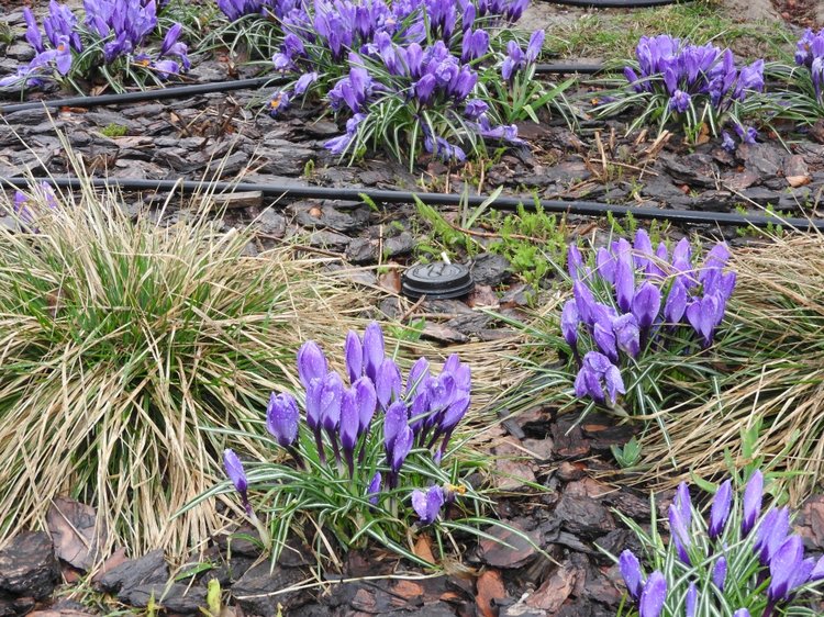 Мишки с Тишинки... Mosfair 2017