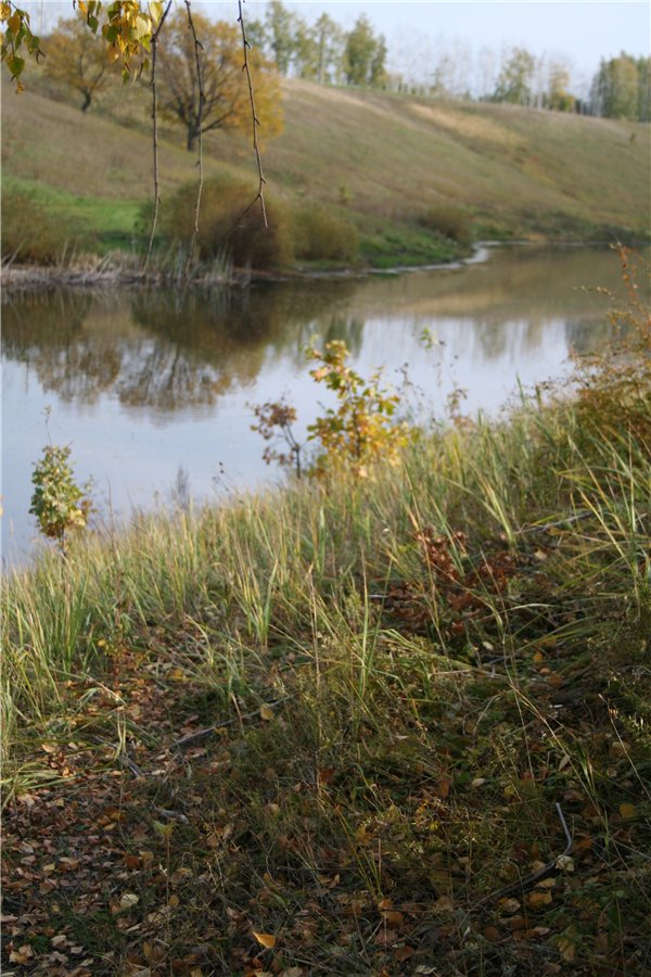 Моя девочка от Annette Himstedt в осеннем настроении (фото 7)