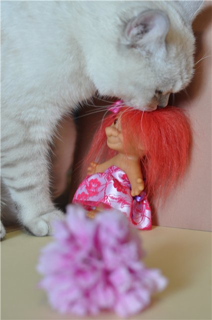 Тролесвадьба или новые друзья из старого чемодана (фото 9)