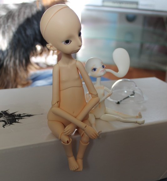 Как я стала оленеводом? Dollshateau Ada & Alberta & Hilary (фото 4)