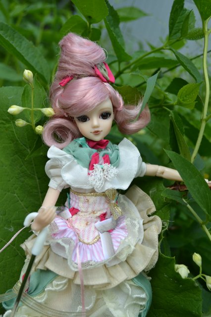 Девушка-пион: джеечка La Rue de Rivoli (J-doll)