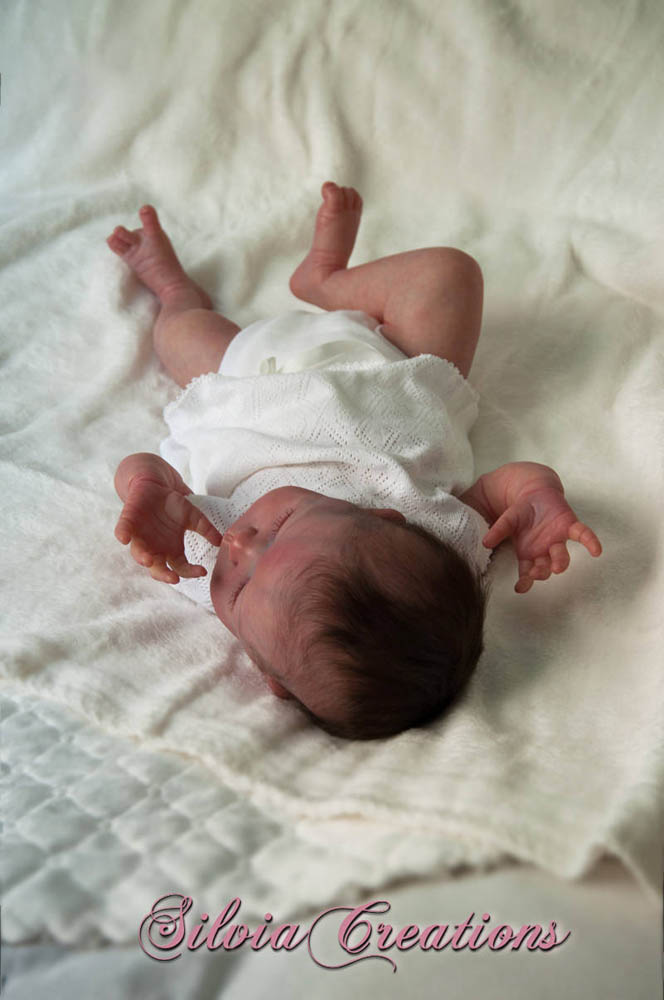 Новый молд Will от Натали Шолль