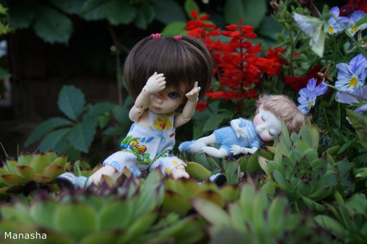 Майка - старшая сестра. Куклы БЖД