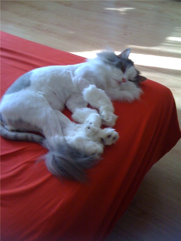 Учимся крепко спать — Болталка и разговоры обо всем: жизнь