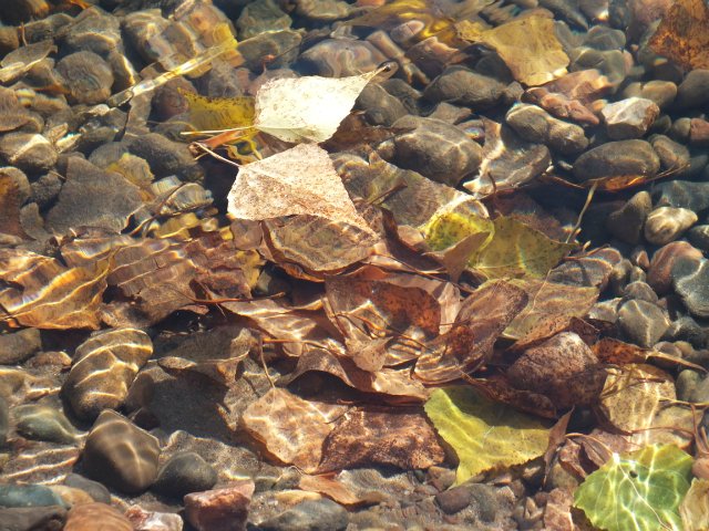 Осень золотая пора. Натали, LUTS (мейк от WOLKOLAK) (фото 10)