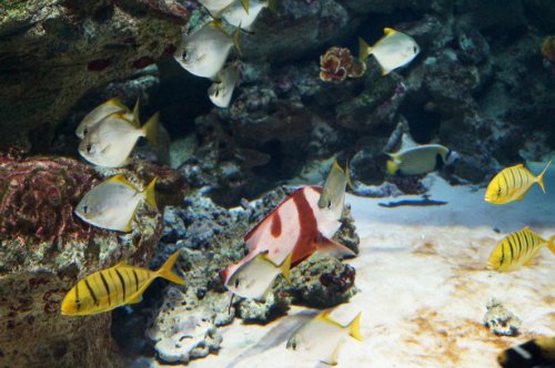 Воронежский океанариум — Туризм и путешествия: фотоотчеты из поездок