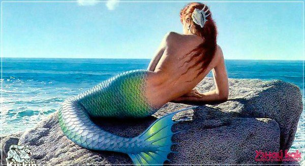 Русалочка. Старая сказка на новый лад. Нелли, Кайе Виггз