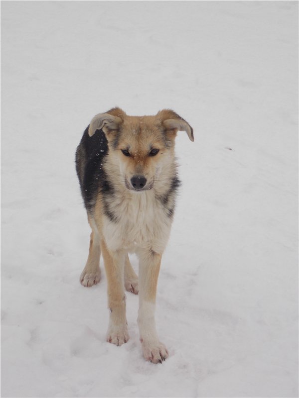 Тропинки Куш - Тау или Варваркины выходные