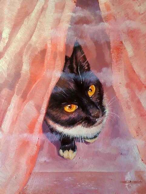 «Мяу» особого назначения или Весенняя кошкотерапия