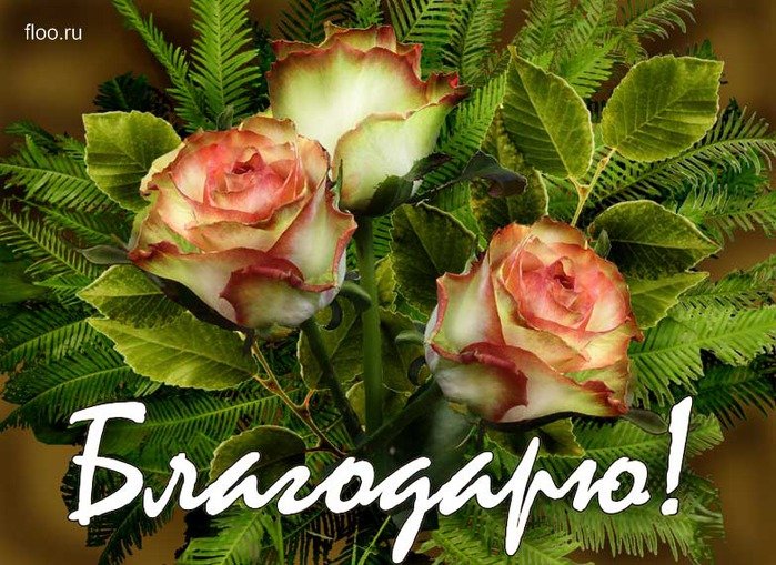 Сонечка. Кукла реборн Натальи Прониной (фото 8)