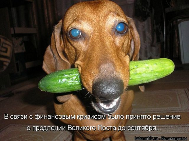 Понедельник - день тяжёлый | Бэйбики Понедельник - день тяжёлый (фото 10)