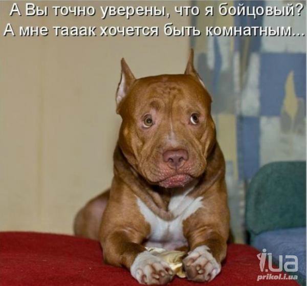 Понедельник - день тяжёлый | Бэйбики Понедельник - день тяжёлый