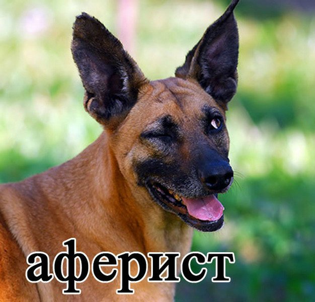 Понедельник - день тяжёлый | Бэйбики Понедельник - день тяжёлый