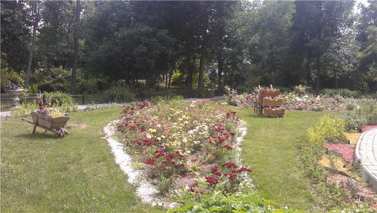 Маленький парк — Куклы Dollzone (Доллзон): BJD (БЖД)