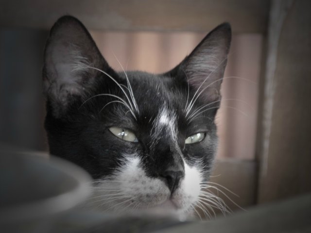 Кусочки моей Греции — Болталка и разговоры обо всем: жизнь