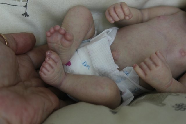 Малыш Веня 3. Кукла реборн Катерины Осиповой-Коняевой (фото 10)