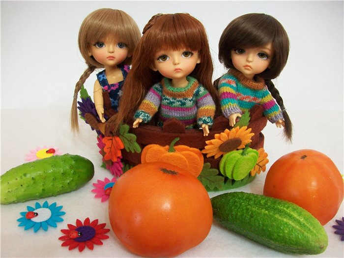 Как латишки урожай собирали